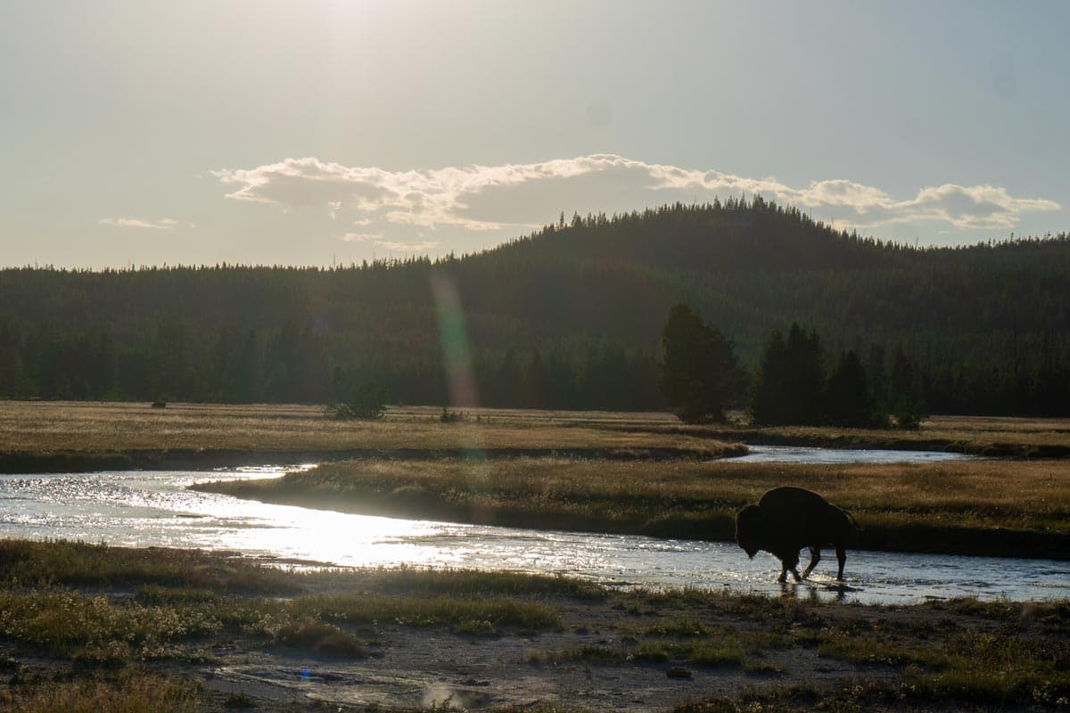 Some Tips for Fishing Yellowstone National Park