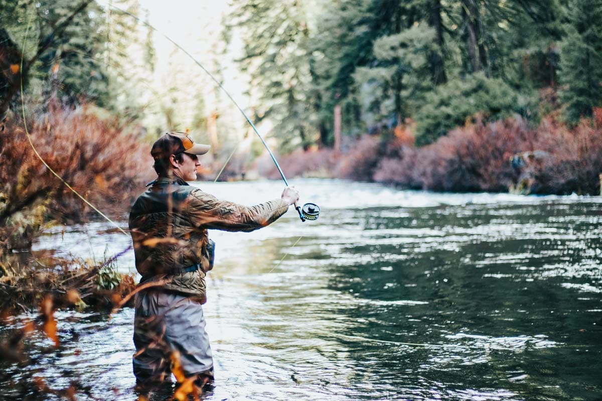 Fly Fishing Gear for Beginners