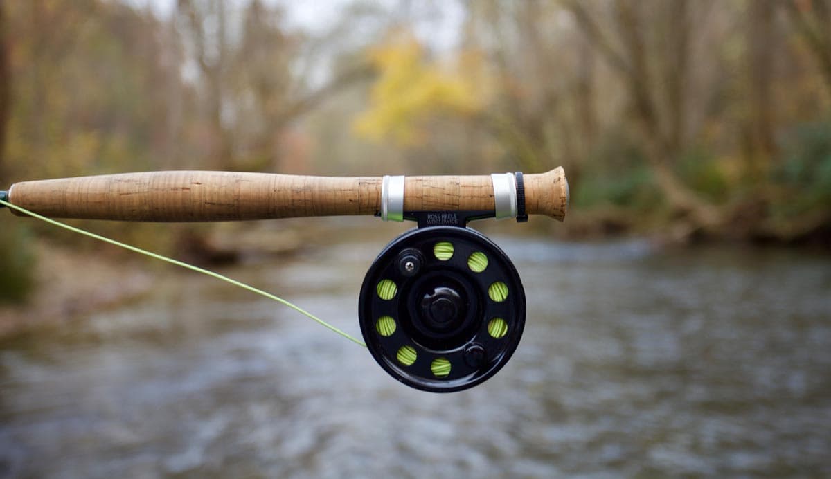 Best Fly Rods for Beginners